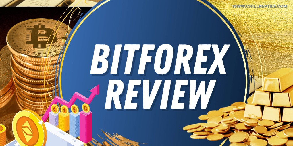 BitForex Review