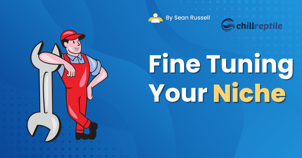 Fine Tuning Your Niche - menprovement Fine Tuning Your Niche - menprovement